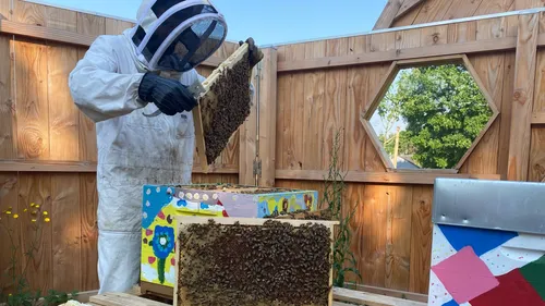 [PODCAST] Bihorel : un rucher municipal et pédagogique à "Beehorel"