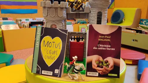 Une braderie de livres jeunesse ce samedi à Nogent-le-Rotrou