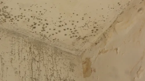 Rouen : l'état de la prison inquiète les syndicats