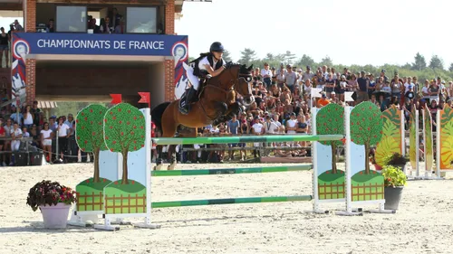 [PODCAST] La Sologne rythmée par le pas du cheval en ce mois de...