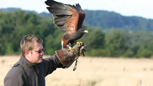 La Normandie stoppe les subventions de spectacles avec animaux...