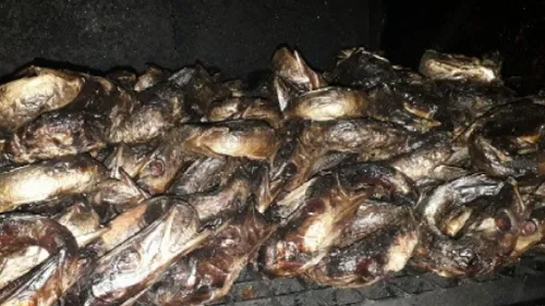 200 kilos de poissons saisis par les gendarmes du Cher