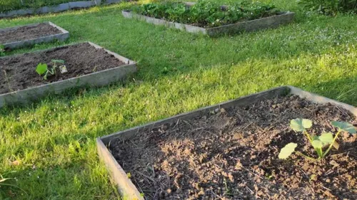 Cormenon : après un incendie, on ne peut plus manger les légumes