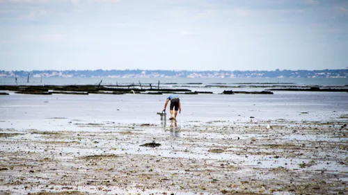 La mort d'un pêcheur à pied sur une plage calvadosienne