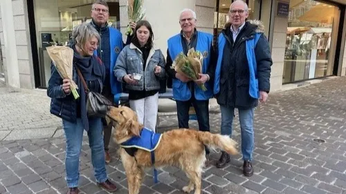 Alençon : ils volent la caisse lors de la vente de tulipes du Lions...