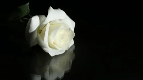 Calvados : marche blanche pour Rafael ce dimanche