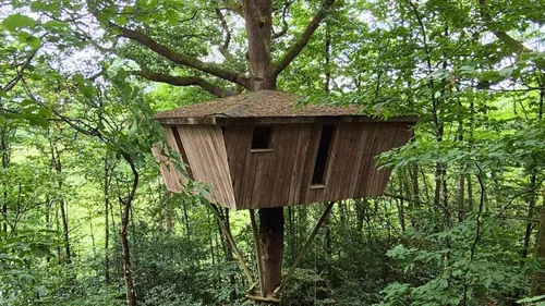 Gagnez votre séjour insolite au cœur de la forêt !