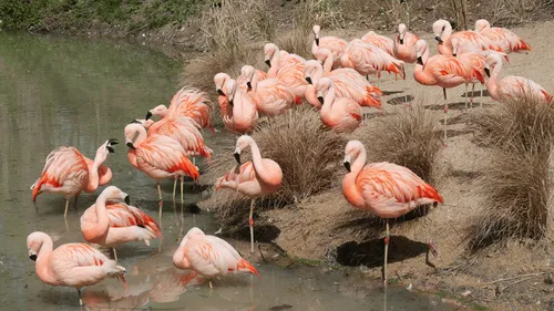 Gagnez votre pass famille pour biotropica 