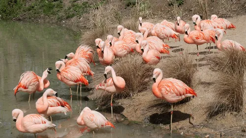 Gagnez votre pass famille pour Biotropica !