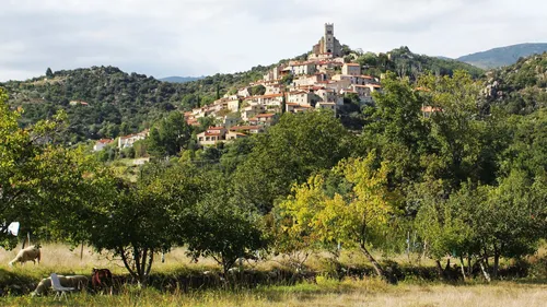 Cactus, Vermouth et Cocktails. Ce village des Pyrénées-Orientales...
