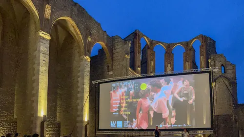 Été 2025 : Le guide des cinémas en plein air à Perpignan