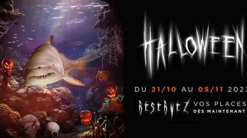 Halloween 2023 à l'aquarium Oniria : frissons aquatiques et magie...