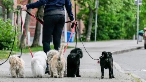 Incivilités au Barcarès : la mairie réagit avec cette nouvelle...