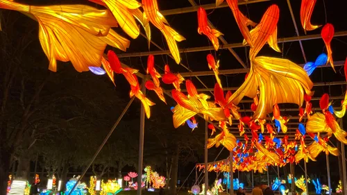 Céret : "Splendeurs de Chine", magie et lumières géantes à...