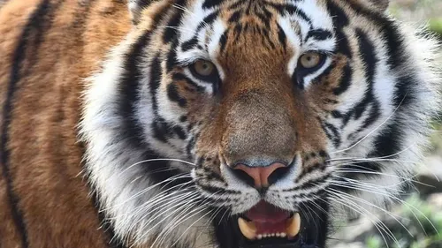 Littoral FM : la tournée d'été se termine à Ecozonia 