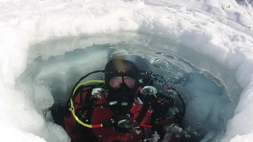 Concert, bain, plongée, … Que faire ce week-end dans les...