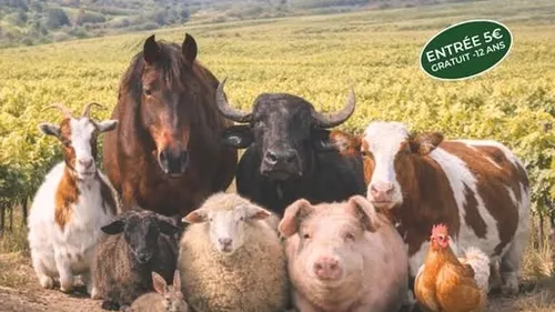 Agenda : 3 ème édition du salon régional de l'agriculture le...