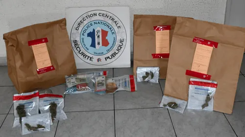 Perpignan : Un trafic de stupéfiant démantelé aux HLM Les Pêchers