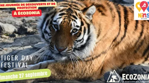 Coup de coeur Nins Guide : Une journée spéciale Tigre à Ecozonia