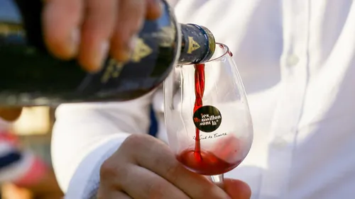 "Vins en Ville" : les vignerons envahissent Perpignan le temps...