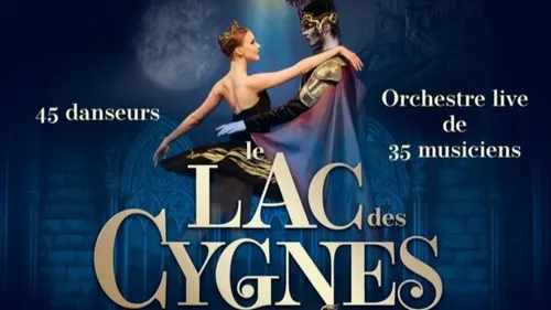 Vos places pour le Lac des cygnes à Niort le 6 mars