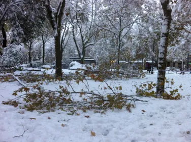 Neige, Acte II. Le point à 21 heures