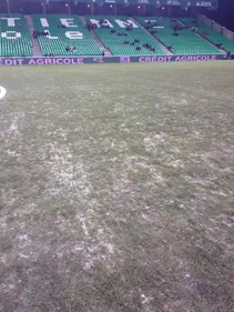 Pelouse gelée de Geoffroy-Guichard : "un système chauffant" en 2015 ?