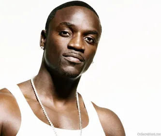 Akon sur Lady Gaga : « Elle ne pouvait que s’effondrer »