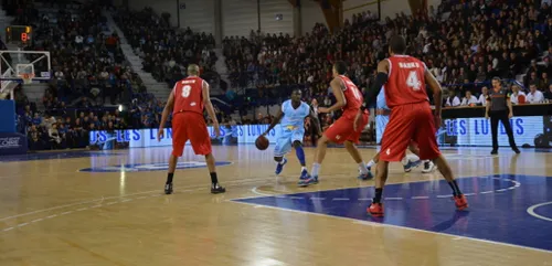 Basket : la Chorale à un tournant au Havre