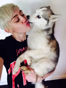 Miley Cyrus dévastée par la mort de son chien