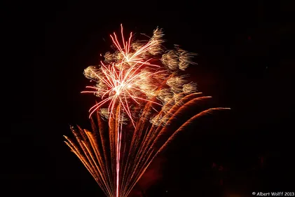 35 communes de la Loire visées par des interdictions pour le 14...