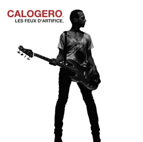 Calogero en concert à Roanne en 2015