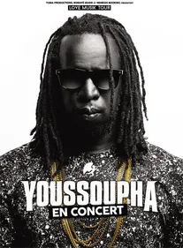 Youssoupha en concert à Saint-Etienne en 2015