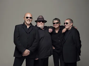 The Stranglers en concert à Saint-Etienne en 2015