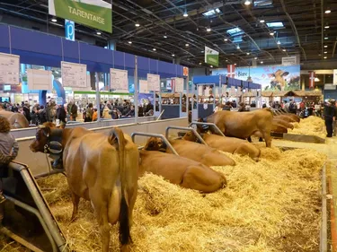 Le Salon de l’agriculture, un rendez-vous incontournable pour les...
