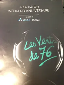 Epopée 76 : les anciens Verts se mobilisent au profit d'une...