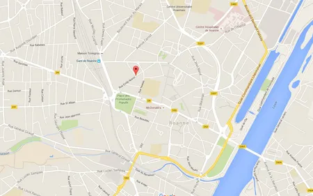 Roanne : plusieurs suspects en garde à vue après la mort d'un homme