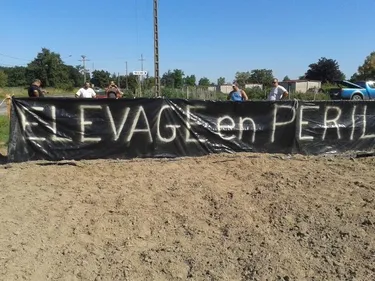 Loire : éleveurs et producteurs solidaires du mouvement en Mayenne