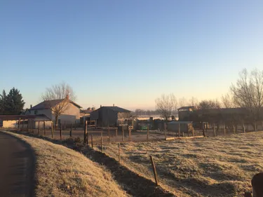 Influenza aviaire : pas d'inquiétude à avoir