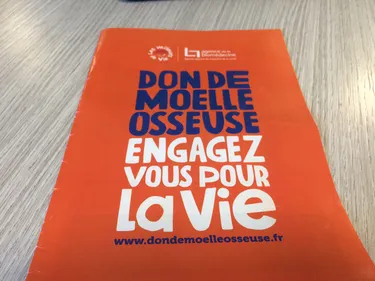 Don de moelle osseuse : objectif 500 dons par an à Saint-Etienne