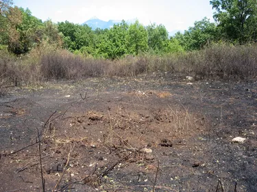Feux de broussailles : le Sdis de la Loire rappelle des règles bien...
