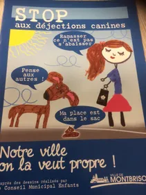 Montbrison : le conseil municipal des jeunes s'attaque aux...