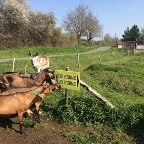Les fermes de la Loire et du Rhône vous ouvrent leurs portes !