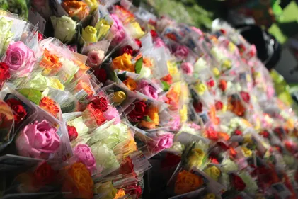 La Stéphanoise 2017 avec ACTIV