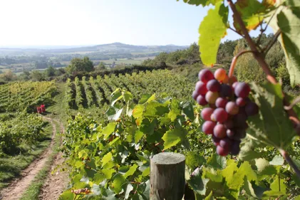 Le tourisme repart dans la Loire