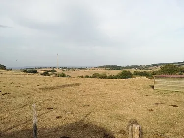 Aggravation de la sécheresse : la préfecture ligérienne renforce...