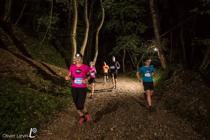 Une mini "Sainté - Lyon" 100% forézienne