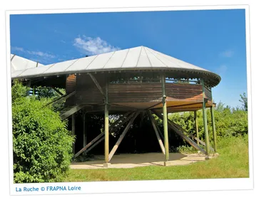 La FRAPNA Loire lance "La ruche", un hébergement participatif