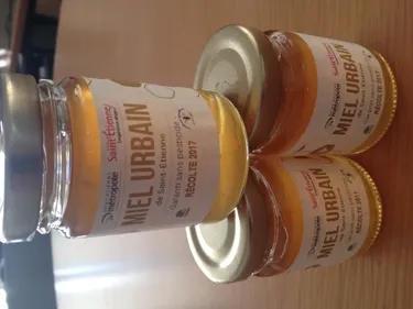 Saint-Etienne Métropole se met à l’apiculture !