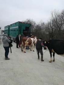 Trois agriculteurs de la Loire au Salon de l'Agriculture 2018